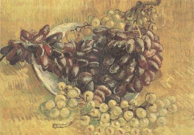 Vincent Van Gogh Still life wtih Grapes (nn04) Germany oil painting art